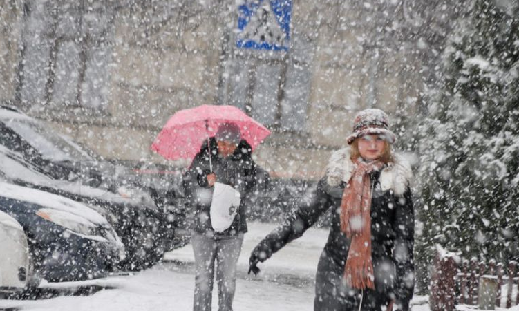 Kosova mbulohet nga bora